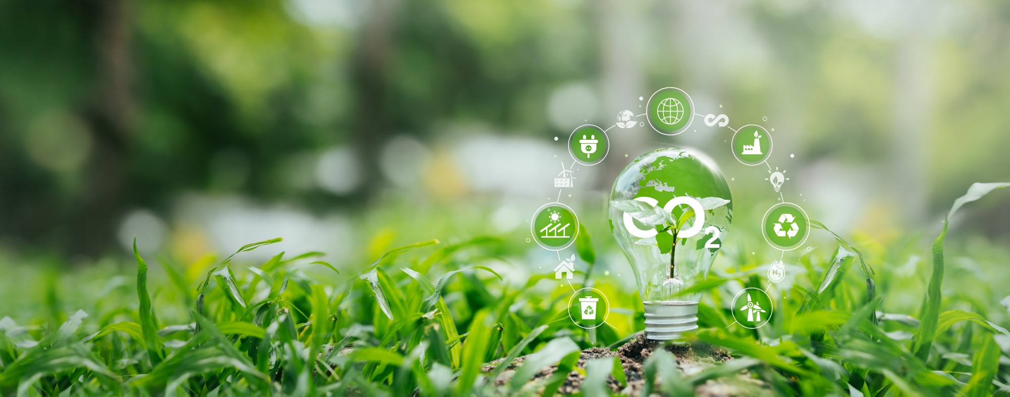 gras met lamp en symbolen rond energiebesparende maatregelen
