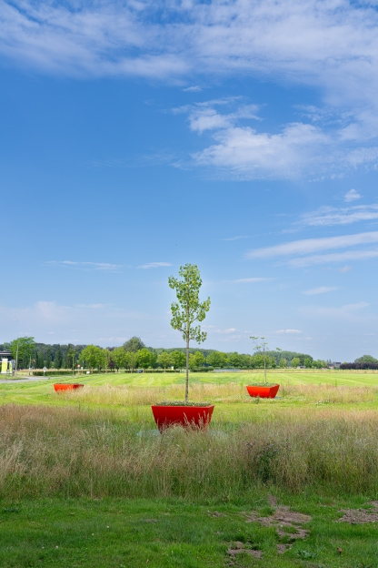 boompjes in rode bakken in open grasveld