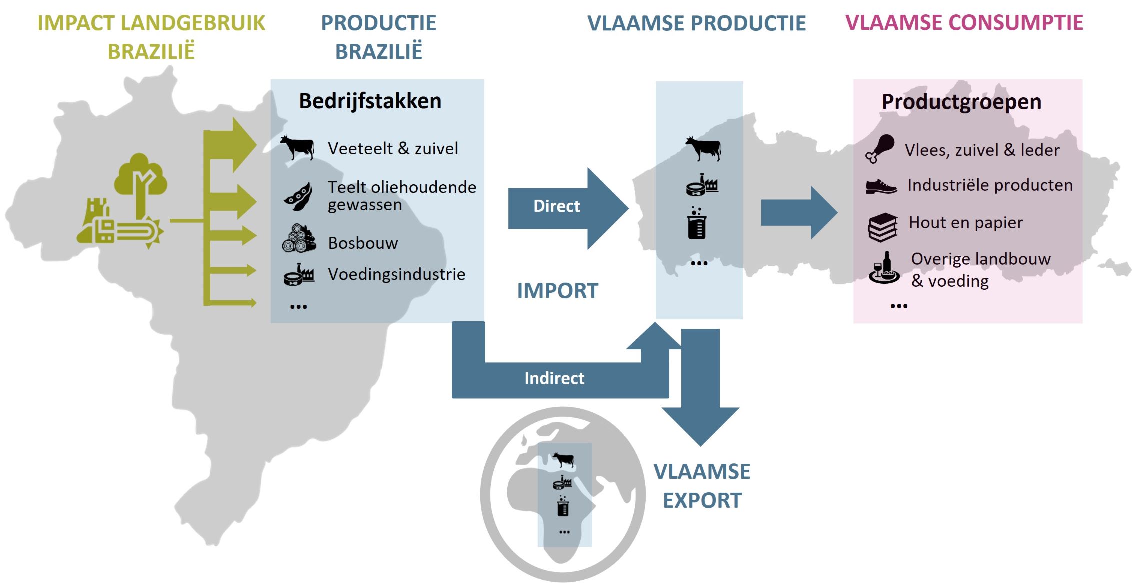 Figuur 1: verband tussen consumptie in Vlaanderen, het landgebruik in Brazilië en de verschillende begrippen die in de figuren en bespreking aan bod komen.