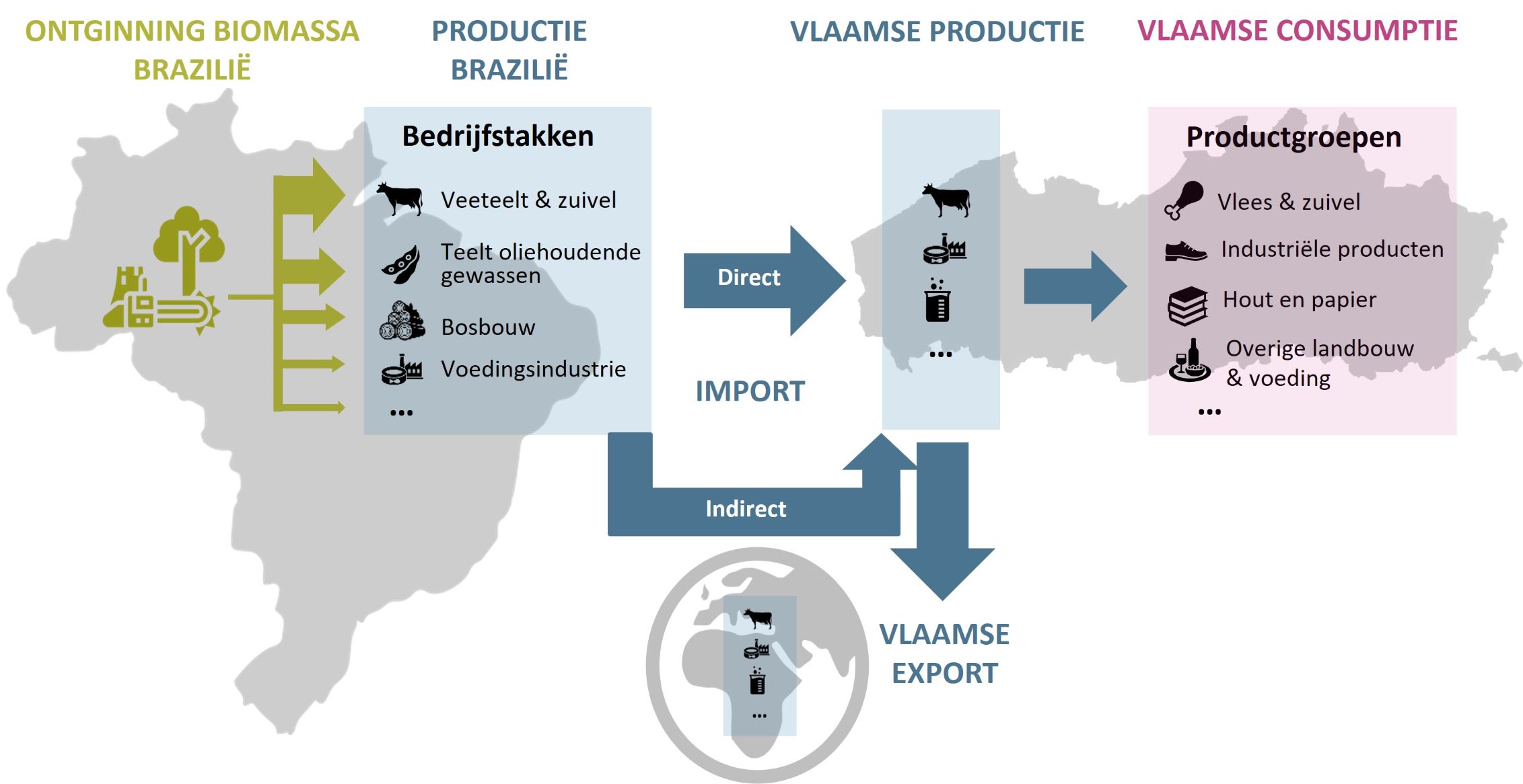 Figuur 1: verband tussen consumptie in Vlaanderen, de ontginning van biomassa in Brazilië en de verschillende begrippen die in de figuren en bespreking aan bod komen.