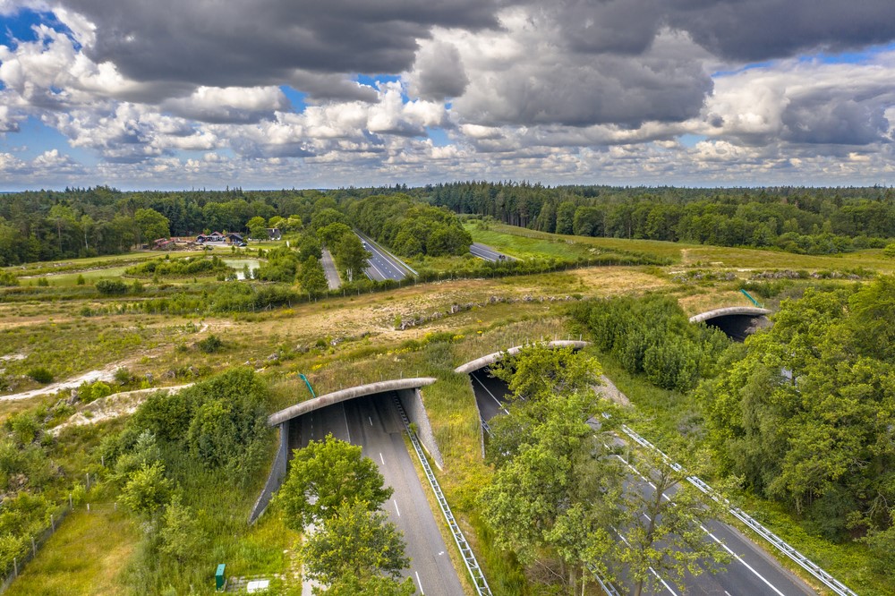 Drenthe, Nederland (Shutterstock)