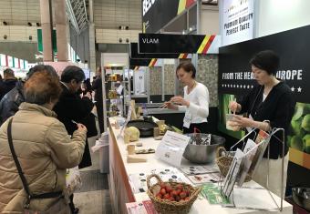 VLAM verleidt Japanners met Vlaamse groenteklassiekers