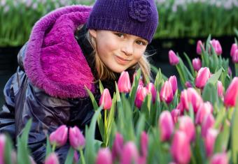 Save the date: Antwerpen, 18 januari 2020: Lente met Vlaamse tulpen